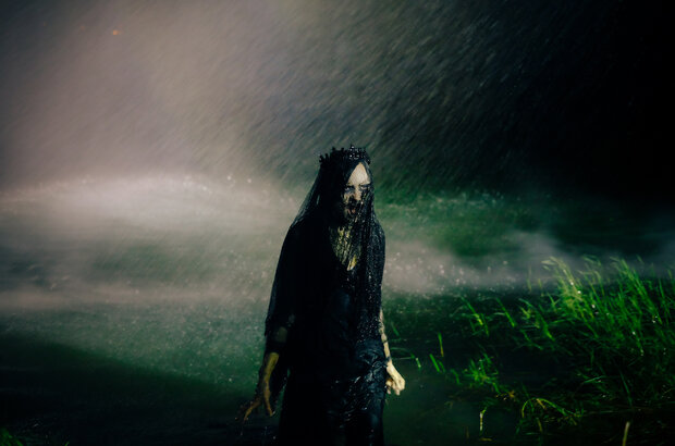 The Housemaid (2016) - photo 1