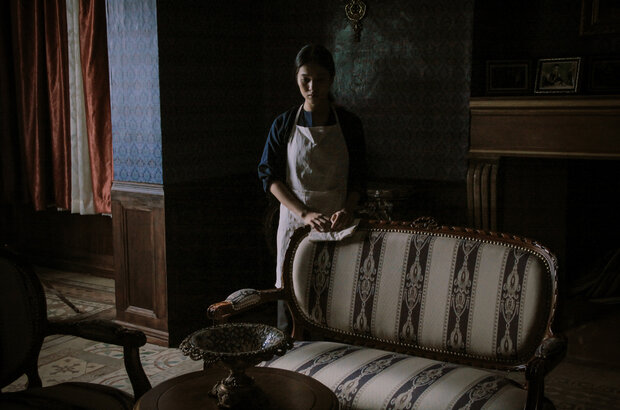 The Housemaid (2016) - photo 5