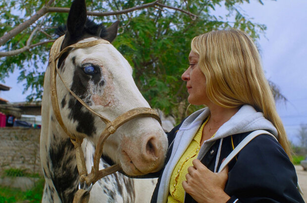Magic Farm (2025) - photo 1