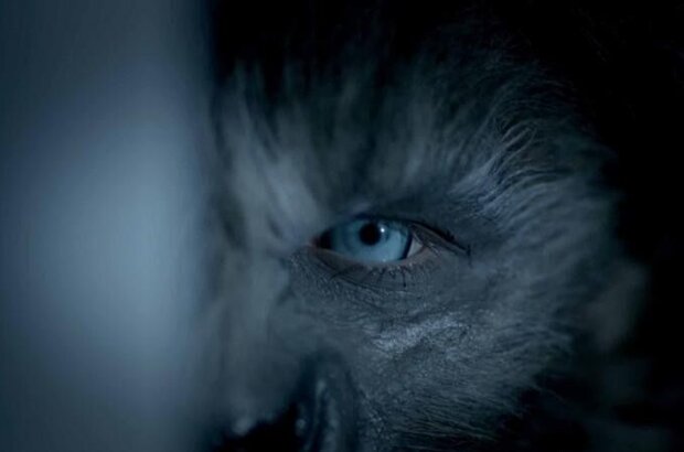 Wolves (2014) - photo 5
