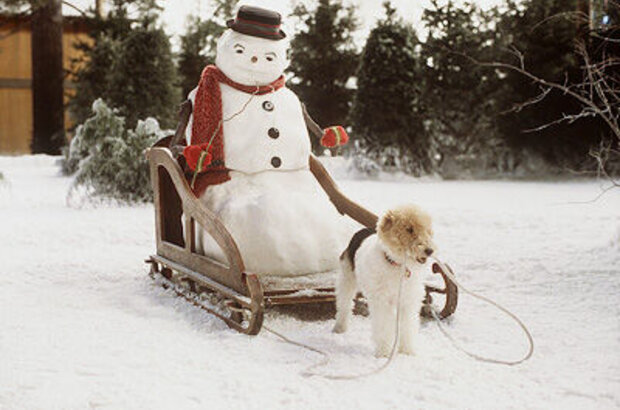 Jack Frost (1998) - photo 2