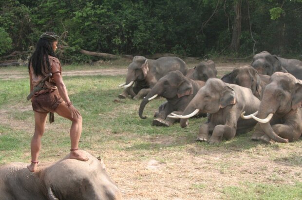 Ong Bak 2 (2008) - photo 14
