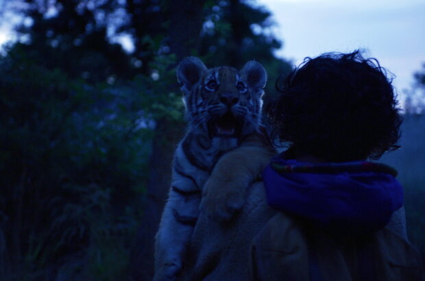 Ta'igara: An adventure in the Himalayas (2022) - photo 11