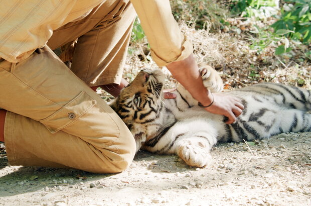 Ta'igara: An adventure in the Himalayas (2022) - photo 9