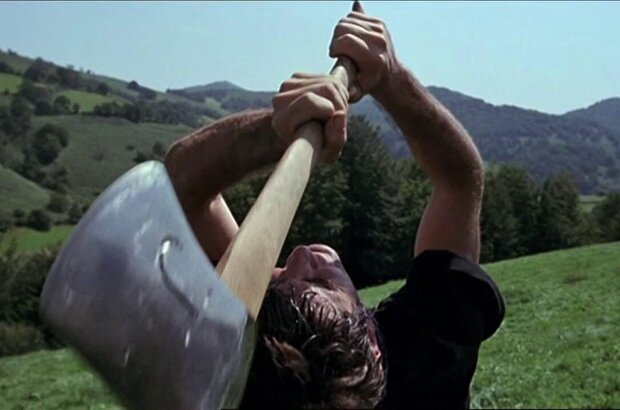 Vacas (1992) - photo 1