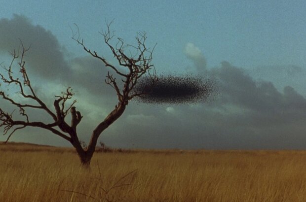 Candyman: Farewell to the Flesh (1995) - photo 2