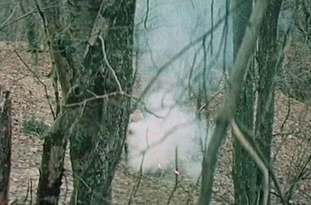 Люблю. Жду. Лена (1983) - фото 11