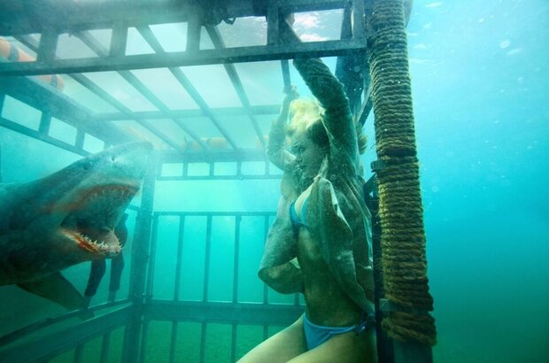 Shark Night 3D (2011) - photo 1