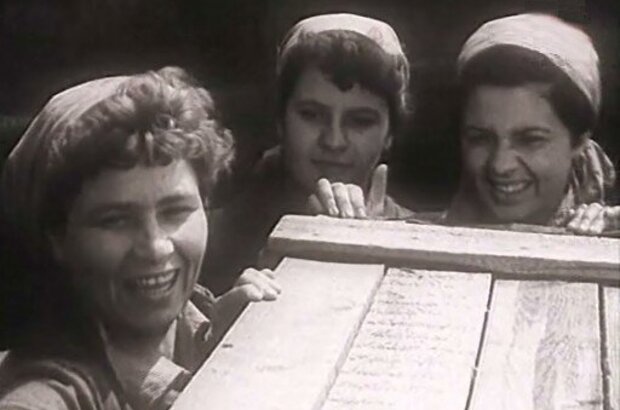 Kapitan 'Staroy cherepakhi' (1956) - photo 5