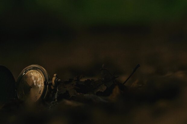 Lake Artifact (2019) - photo 7
