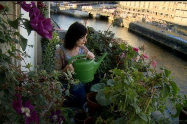 In Berlin (2009) - photo 1