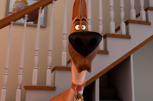 Мармадюк (2022) - фото 5