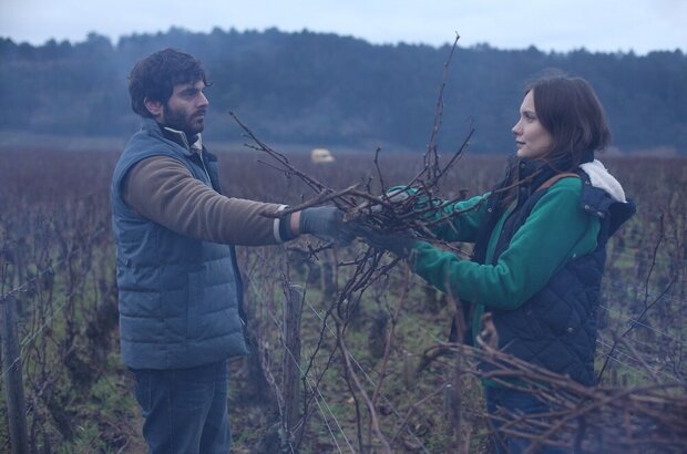 Back to Burgundy (2017) - photo 17