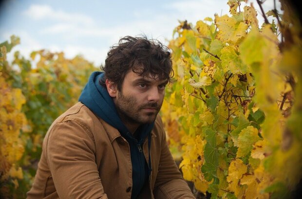 Back to Burgundy (2017) - photo 15