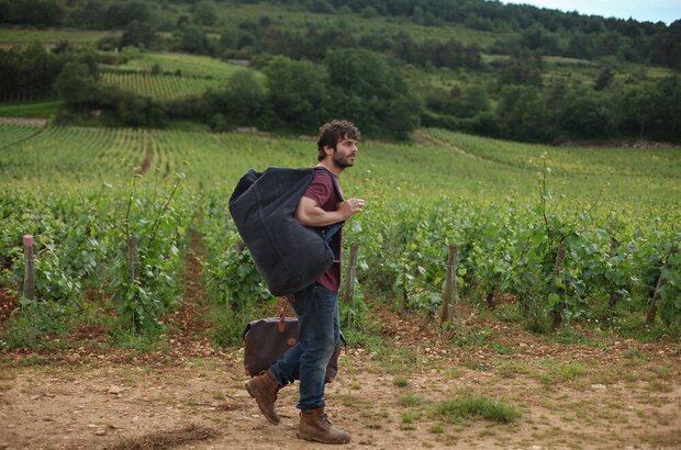 Back to Burgundy (2017) - photo 3