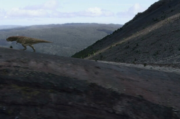 Homo Erectus and the Hand Axe Revolution (2012) - photo 8