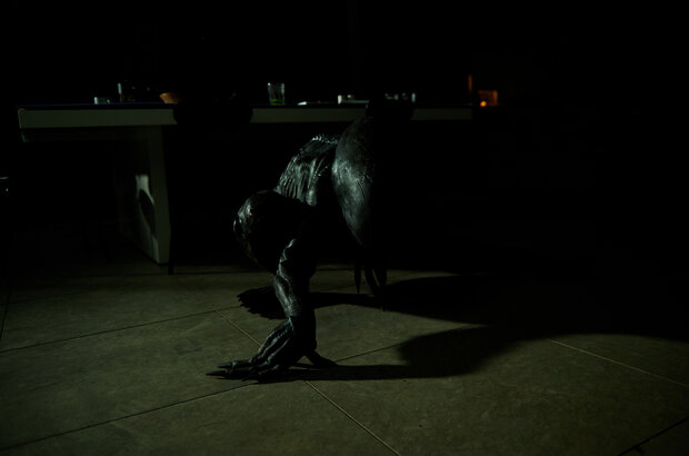 Daddy's Head (2024) - photo 2