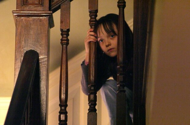 Hide and Seek (2005) - photo 6