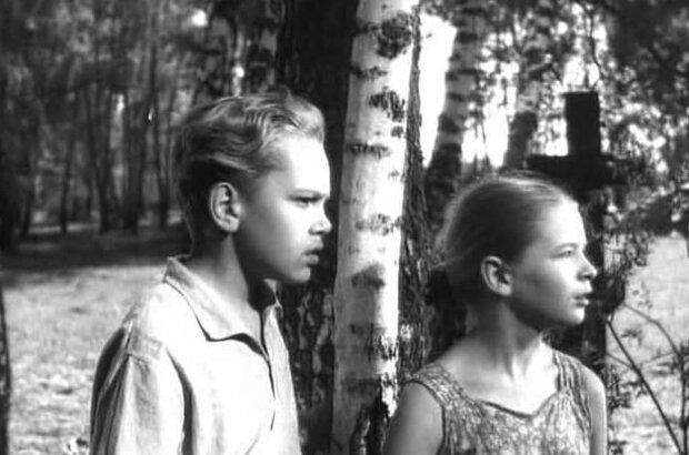 Братья Комаровы (1962) - фото 7