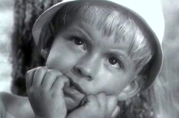 Братья Комаровы (1962) - фото 4