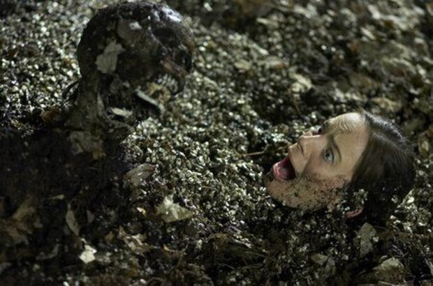 The Marsh (2006) - photo 1