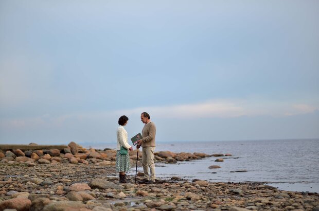 Elephant (2019) - photo 12