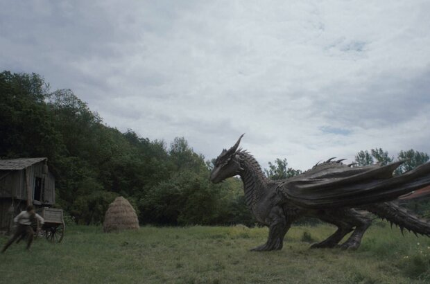 Dragonheart: Battle for the Heartfire (2017) - photo 4