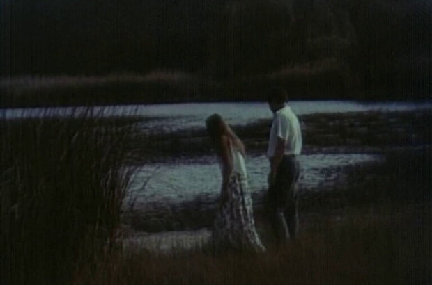 Dandelions' Bloom (1992) - photo 12