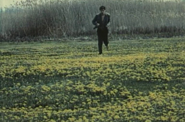 Dandelions' Bloom (1992) - photo 3