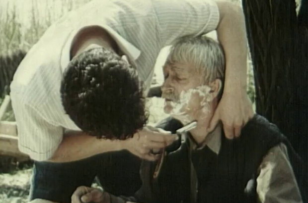 Dandelions' Bloom (1992) - photo 1