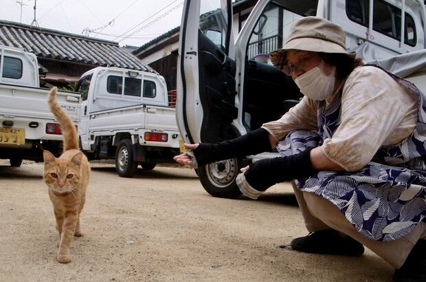 The Cats of Gokogu Shrine (2024) - photo 1