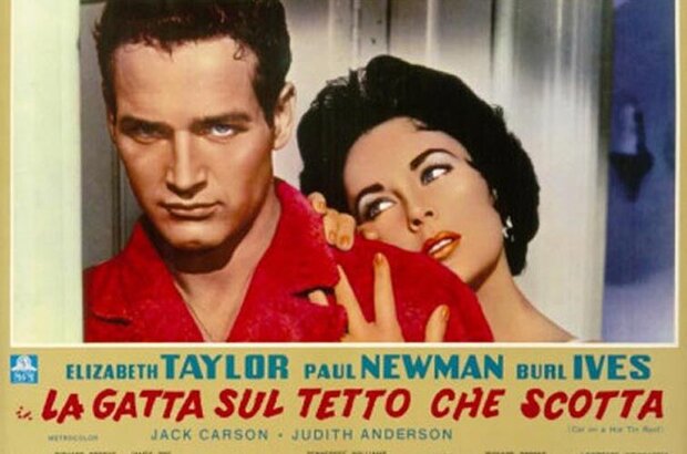 Cat on a Hot Tin Roof (1958) - photo 4