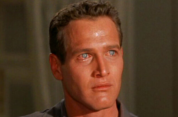 Cat on a Hot Tin Roof (1958) - photo 3