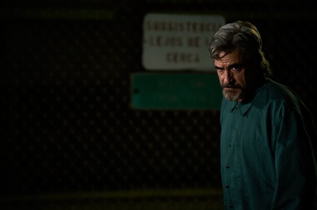 Breakwater (2023) - photo 3