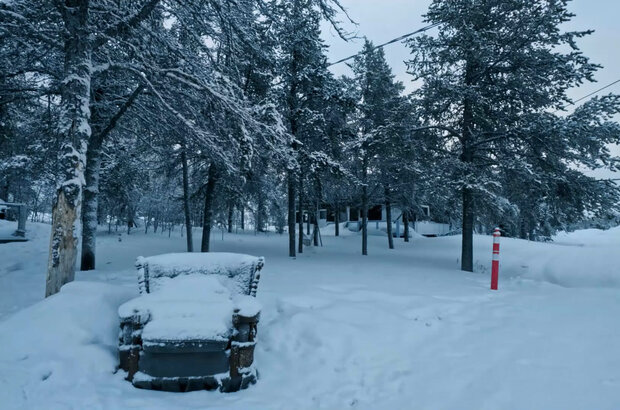 The taiga ermit (2019) - photo 8
