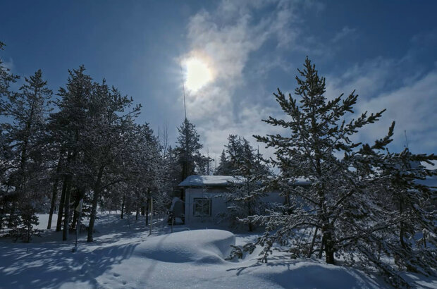 The taiga ermit (2019) - photo 4