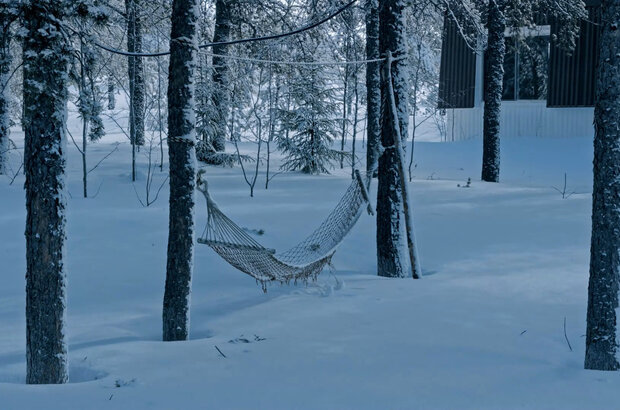 The taiga ermit (2019) - photo 6