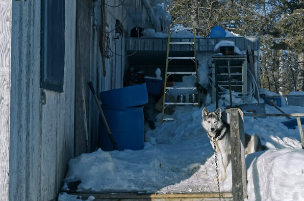 The taiga ermit (2019) - photo 1