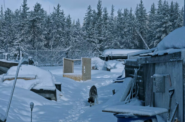 The taiga ermit (2019) - photo 7