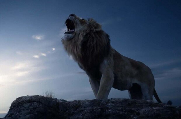 The Lion King (2019) - photo 5