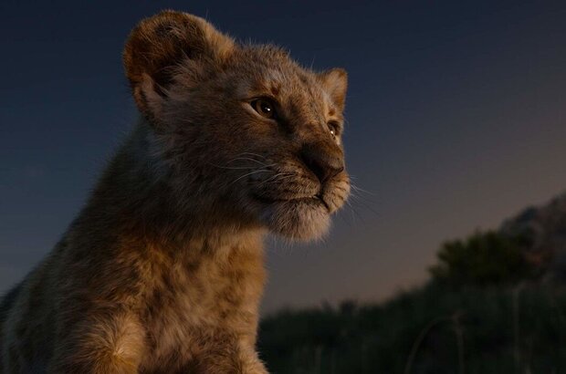 The Lion King (2019) - photo 10