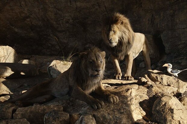 The Lion King (2019) - photo 16