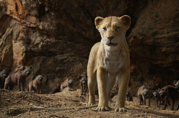 The Lion King (2019) - photo 13