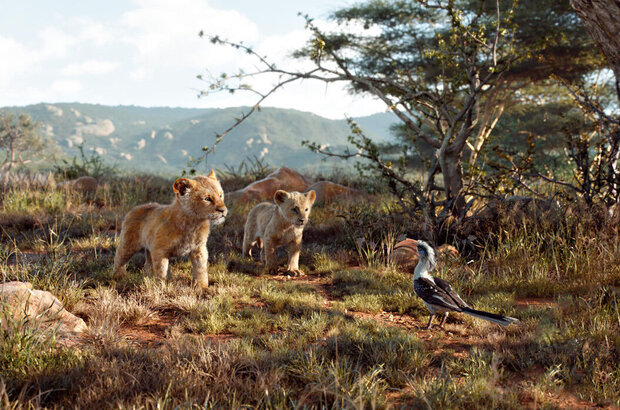 The Lion King (2019) - photo 8