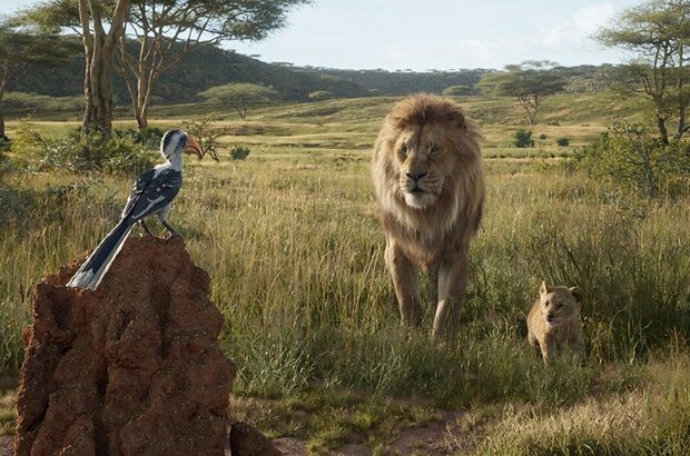 The Lion King (2019) - photo 15
