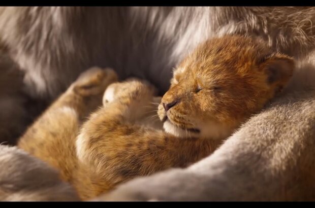 The Lion King (2019) - photo 2