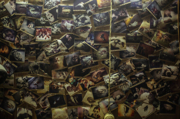 Foto na pamyat (2018) - photo 12