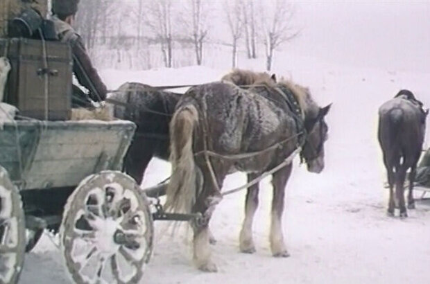 Gospodin gimnazist (1985) - photo 3