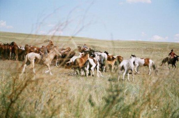 Taina Chingis Khaana (2008) - photo 3