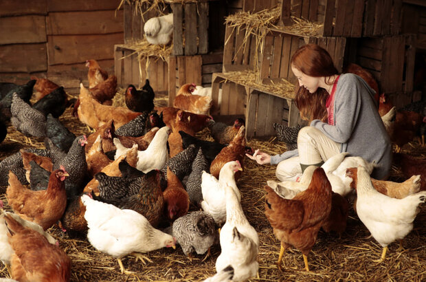 Au fil des saisons (2024) - photo 1